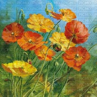 Poppy Background-RM - ücretsiz png