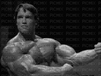Arnold Schwarzenegger - GIF animado gratis