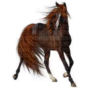 Horse 2 - ingyenes png