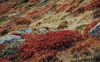 maisema landscape syksy autumn - безплатен png