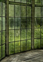 window  nature - kostenlos png