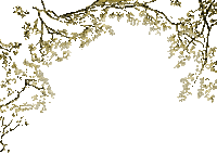 Branche d'arbre - Zdarma animovaný GIF