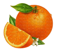 orange by nataliplus - png ฟรี