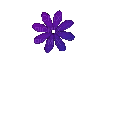 синие цветы - GIF animasi gratis