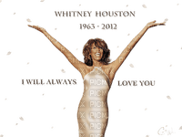 Whitney Houston milla1959 - png grátis