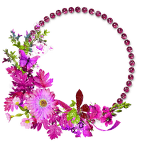Round Florar Fuchsia - By StormGalaxy05 - bezmaksas png