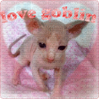 love goblin :) - Free animated GIF