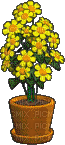 Petz Yellow Flowers Plant - gratis png