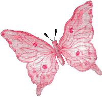 pink butterfly (created with gimp) - GIF animado gratis