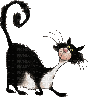cat chat katze animal gif anime animated animation tube animaux mignon fun - GIF animé gratuit