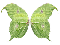 BUTTERFLY - Free PNG