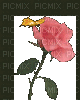 flor - 無料のアニメーション GIF