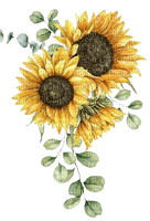 Sunflower.Tournesol.painting.Victoriabea - Free PNG