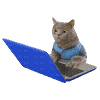 Laptop Cat - GIF animate gratis