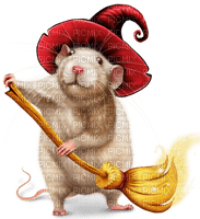 El ratón brujo con escoba - png gratuito