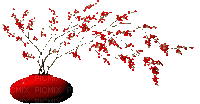 Bloemen en Planten - Ingyenes animált GIF