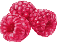 raspberry by nataliplus - zadarmo png