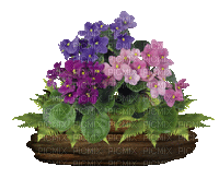 Arreglo floral - GIF animado gratis