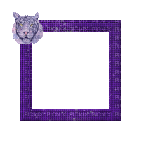 Small Purple Frame - Gratis animeret GIF