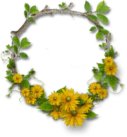 St. Patrick's Day Circle Frame - 無料png