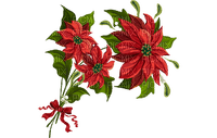 jul--blomma---christmas--flowers - ücretsiz png