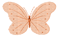 Kaz_Creations Deco Butterfly Colours - GIF animé gratuit