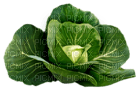 Kaz_Creations Vegetables - darmowe png