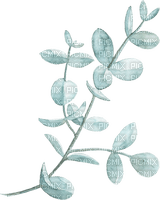 eucalyptus watercolor Bb2 - kostenlos png