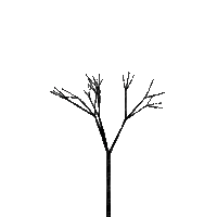 flower,tree - Gratis animeret GIF