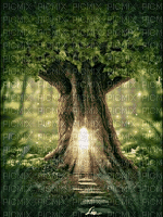 Enchanted Forest - GIF animate gratis