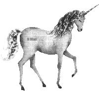 Y.A.M._Fantasy unicorn black-white - GIF animado grátis