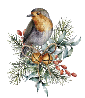 winter bird - Besplatni animirani GIF