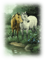 caballo by EstrellaCristal