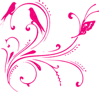 Pink Birds and Butterfly - nemokama png