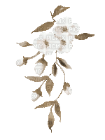 soave deco animated branch spring flowers sepia - 無料のアニメーション GIF