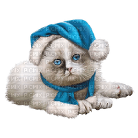 VanessaVallo _crea- white cat with blue hat - darmowe png