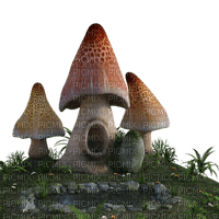 mushrooms, sieni - gratis png