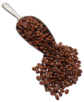Coffee.Café.grains.Victoriabea - PNG gratuit