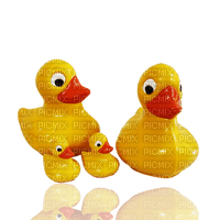 rubber ducky - 免费PNG