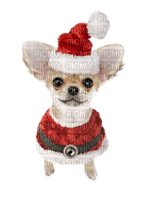 Dog, Hund, Weihnachten - бесплатно png