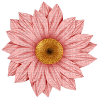 flower - zadarmo png