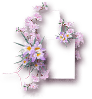 floral frame  Bb2 - darmowe png