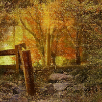autumn forest bg  gif automne foret fond - Free animated GIF