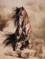 horse Nitsa Papakon 4 - бесплатно png