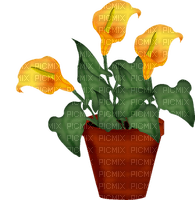 potted flower - PNG gratuit