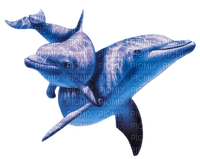 tube dauphin - PNG gratuit