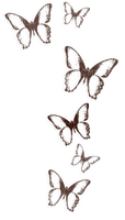 Butterflies Deco - nemokama png
