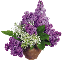 Bloemen en planten - Ilmainen animoitu GIF