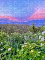 vast landscape photography - 免费PNG