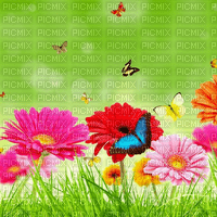 Y.A.M._Spring background - 無料png